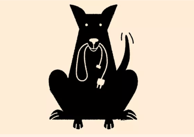 Screenshot 2017-08-29 23.09.39